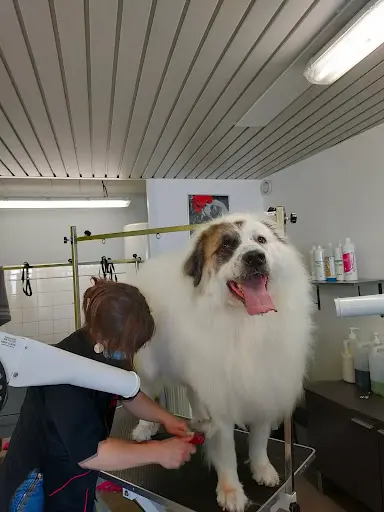 Au Bon Flair