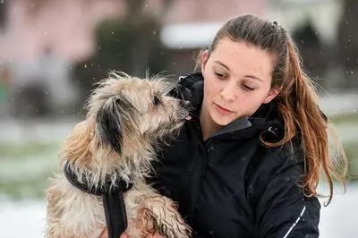 Maëlle - Pension/éducateur Canin/comportementaliste