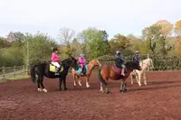 Les Poneys des Volcans