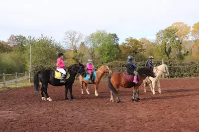 Les Poneys des Volcans