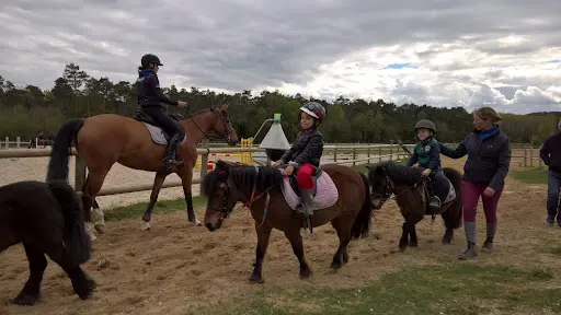 Haras des Courlis