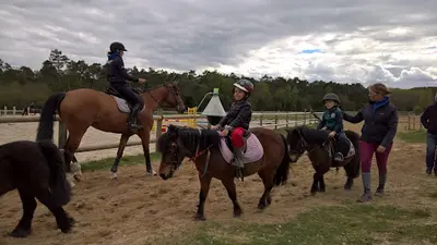 Haras des Courlis