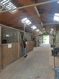 Haras d'Ecotier