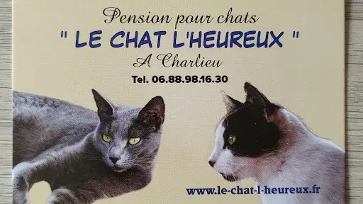 Le Chat l'Heureux