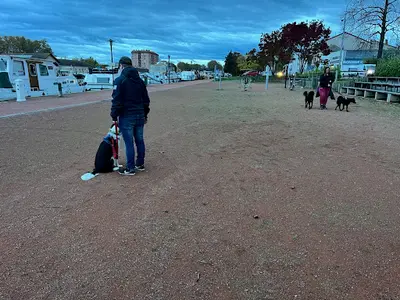 Md Éducation Canine