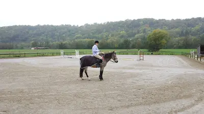 Black Beauty Club, Ecurie Secchiutti