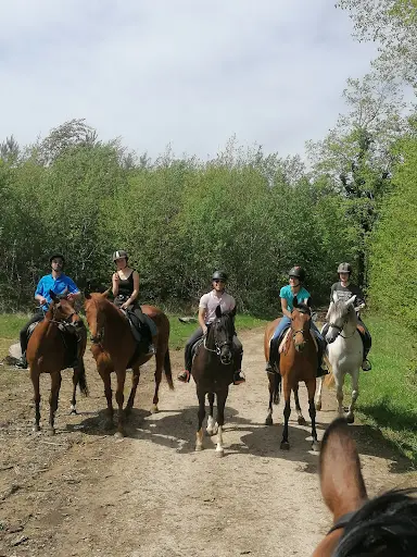 Haras du Val des Charmes