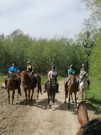 Haras du Val des Charmes