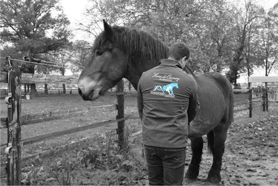 Haras de Charmoy