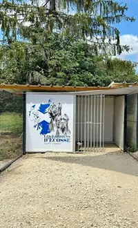 Élevage des Gardiens D’ecosse Cane Corso
