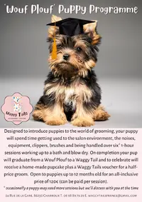 Waggy Tails Charroux
