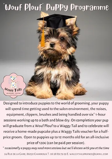 Waggy Tails Charroux