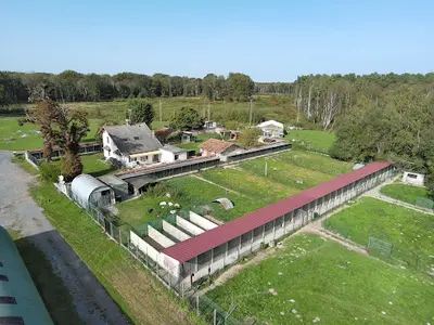 Pension la Renardière - Chiens et Chats