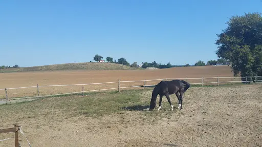 Ecurie du Petit Prince