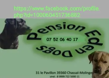 Pension Eden Dogs