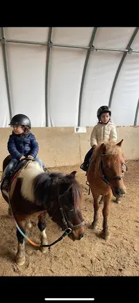 Poney Club du Grand Celard