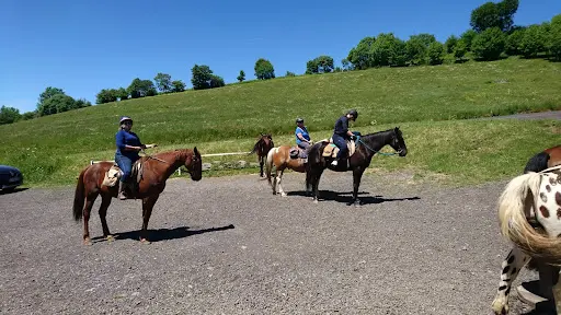 Sancy Cheval