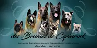 Elevage des Brumes de Cyrinrock