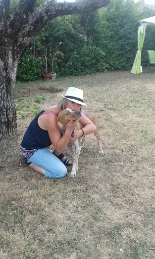 Crèche Canine 04
