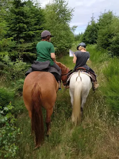 Les Chevaux de Chamousseau