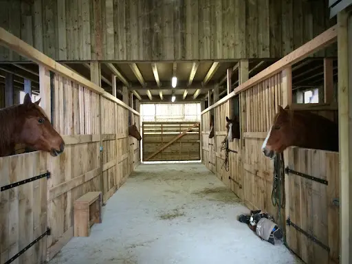 Open Range