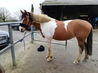 Centre Equestre de Chateau Gontier