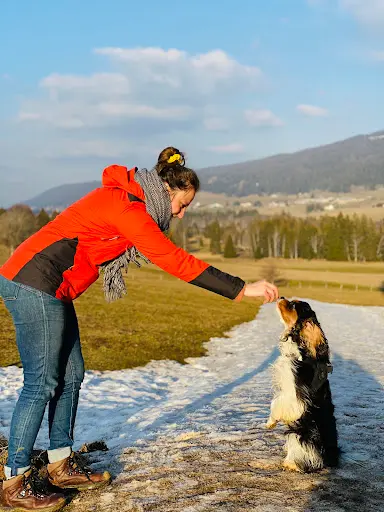 Yolène - Educatrice Comportementaliste Canin