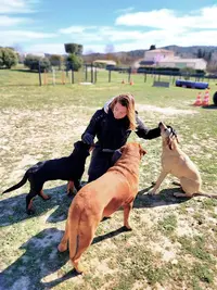 Élite Canin - Éducateur Canin Comportementaliste