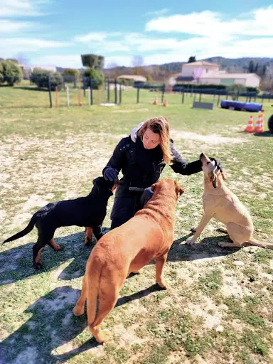 Élite Canin - Éducateur Canin Comportementaliste