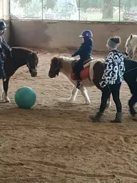 Poney Aventure