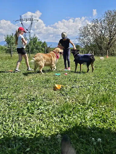 Regard Canin- Julie Éducateur et Coach Canin