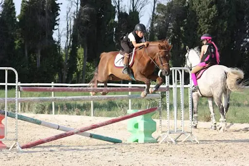 Les Ecuries du Jale