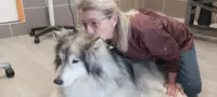 Frimousse
