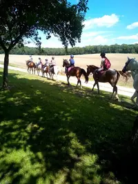 Centre Equestre du Parc