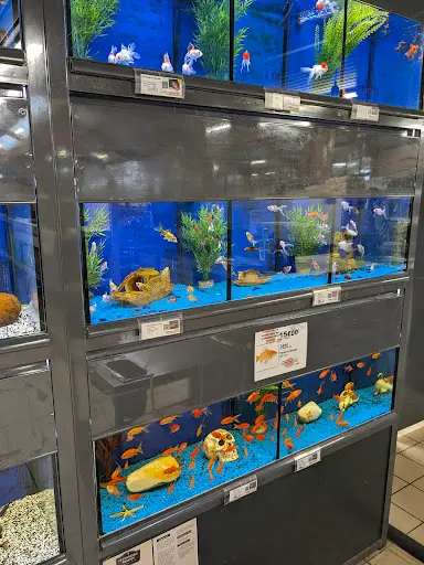 Jardiland