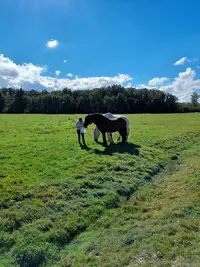 Ecurie des Etangs
