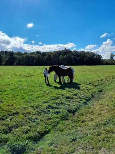 Ecurie des Etangs