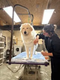 Maggywash