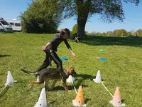 Déclic et des Chiens