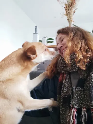 Animocoeur - Comportement du Chat et du Chien｜balades & Visites À Domicile