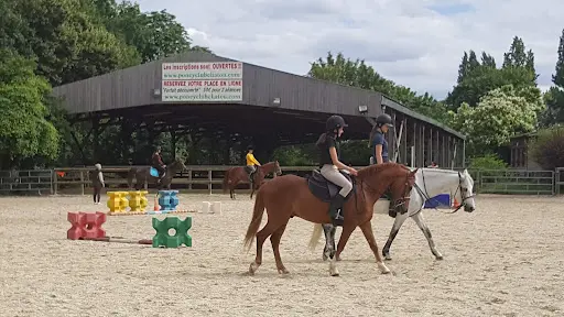 Poney-club de l'Ile