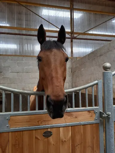Le Haras du Prélude