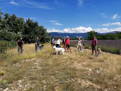 Club d'Éducation Canine Goubetois