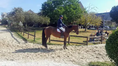 Haras de Monthome