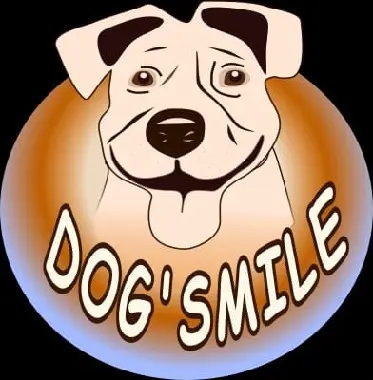 Dog Smile Éducateur Comportementaliste Canin