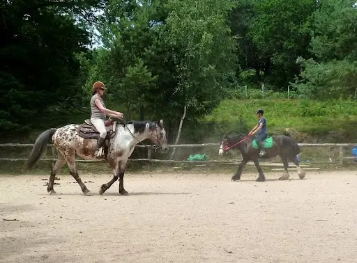 La Ferme Équestre de Tréphy - Éthologie & Équitation Western
