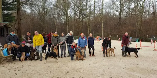 Club d'Education Canine - Agility - École du Chiot de Chaumes en Brie
