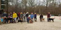 Club d'Education Canine - Agility - École du Chiot de Chaumes en Brie
