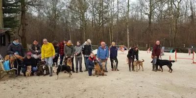 Club d'Education Canine - Agility - École du Chiot de Chaumes en Brie