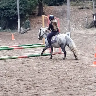 Poney-club de la Suize - Association Equipassion
